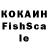 ТГК концентрат PLAZMA FF