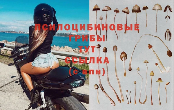спайс Алексеевка