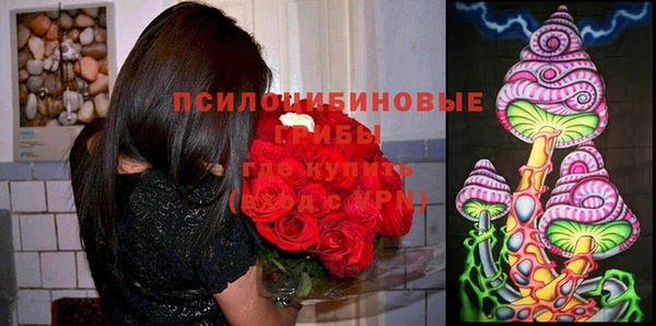 спайс Алексеевка